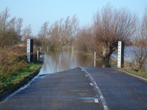 Welney Wash - flooded